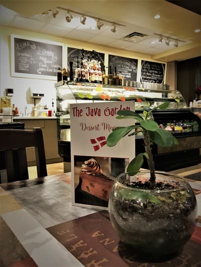 Inside view of The Java Garden showing the dessert display, a small Danish flag, and a plant on the table.